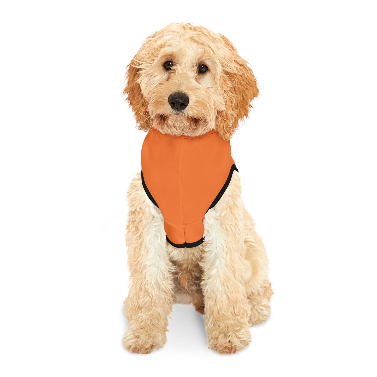 Spooky Dogs Halloween Pet Hoodie