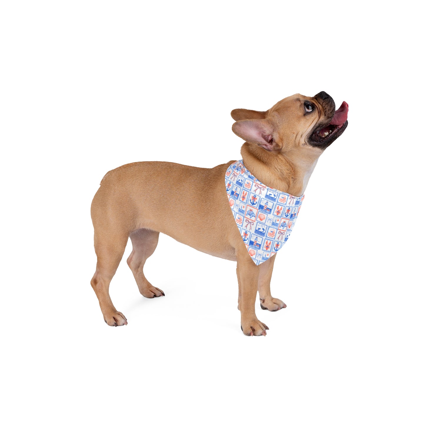 Hand Sketched Summer Line Art Dog Bandana, Summer Dog Apparel, Summer Dog, Nautical Beach Dog Bandana